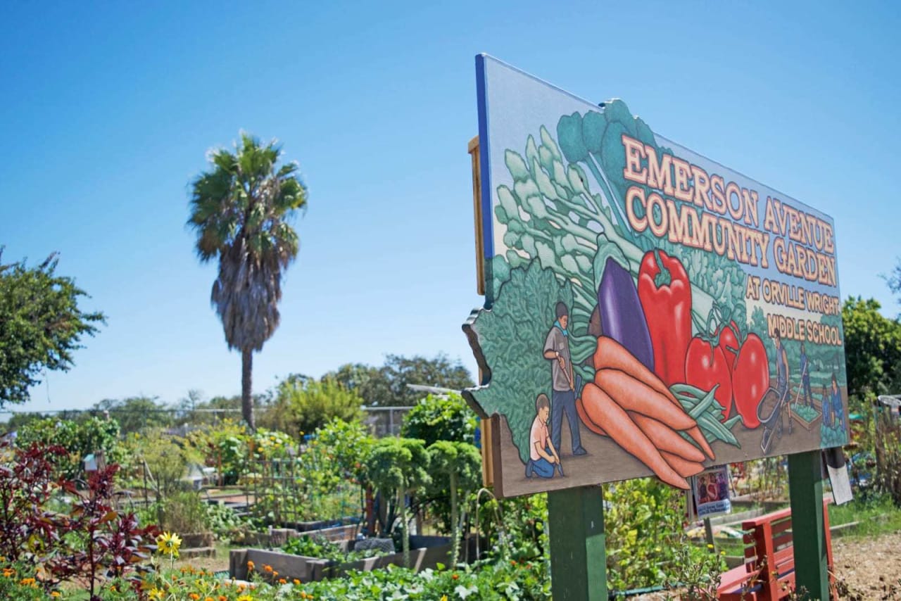 ​​​​​​​Built and maintained 100% by volunteers, the Emerson Avenue Community Garden (EACGC) offers a sustainable, organic green space for growth and enrichment in 90045. Since 2011, the EACGC has been working tirelessly to turn what was once a “derelict” piece of property into a thriving green space to be shared by all for the betterment of the community.