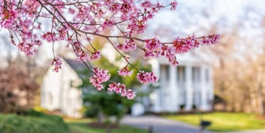 March Newsletter 2026