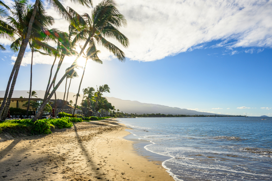 Overview of South Maui