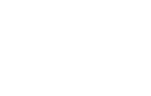 Savvy Property Group
