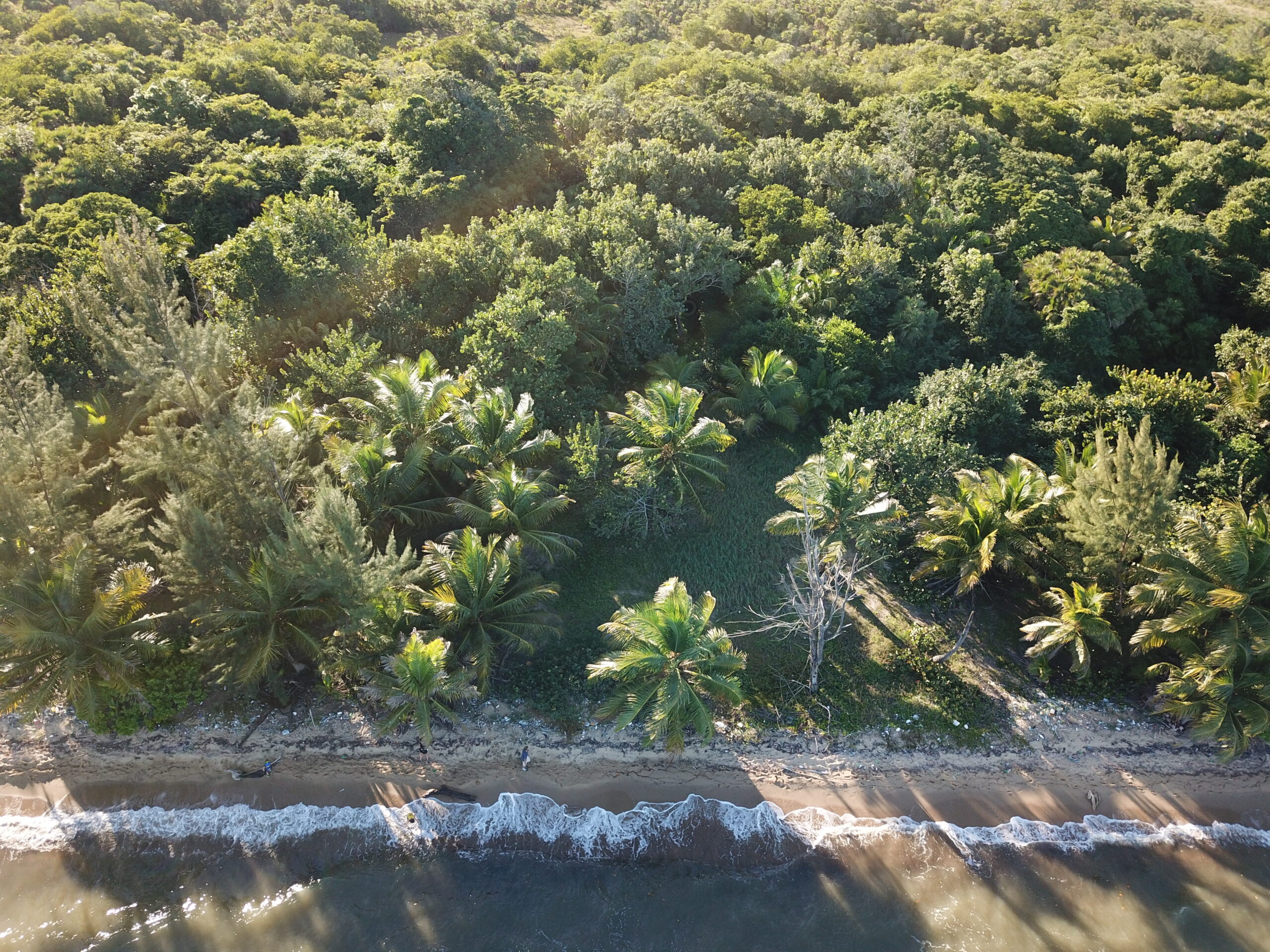 Listing Gallery 0