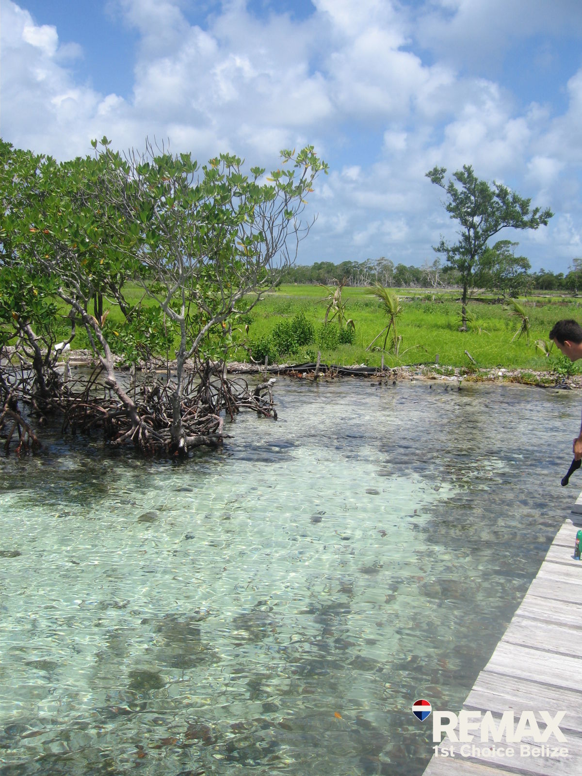 Listing Gallery 0