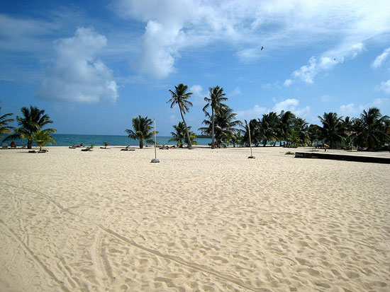 sand-view-of-palms-and-water