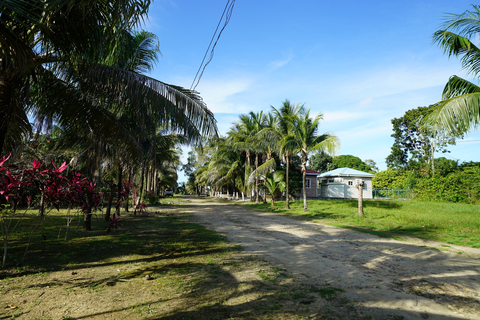 Listing Gallery 2