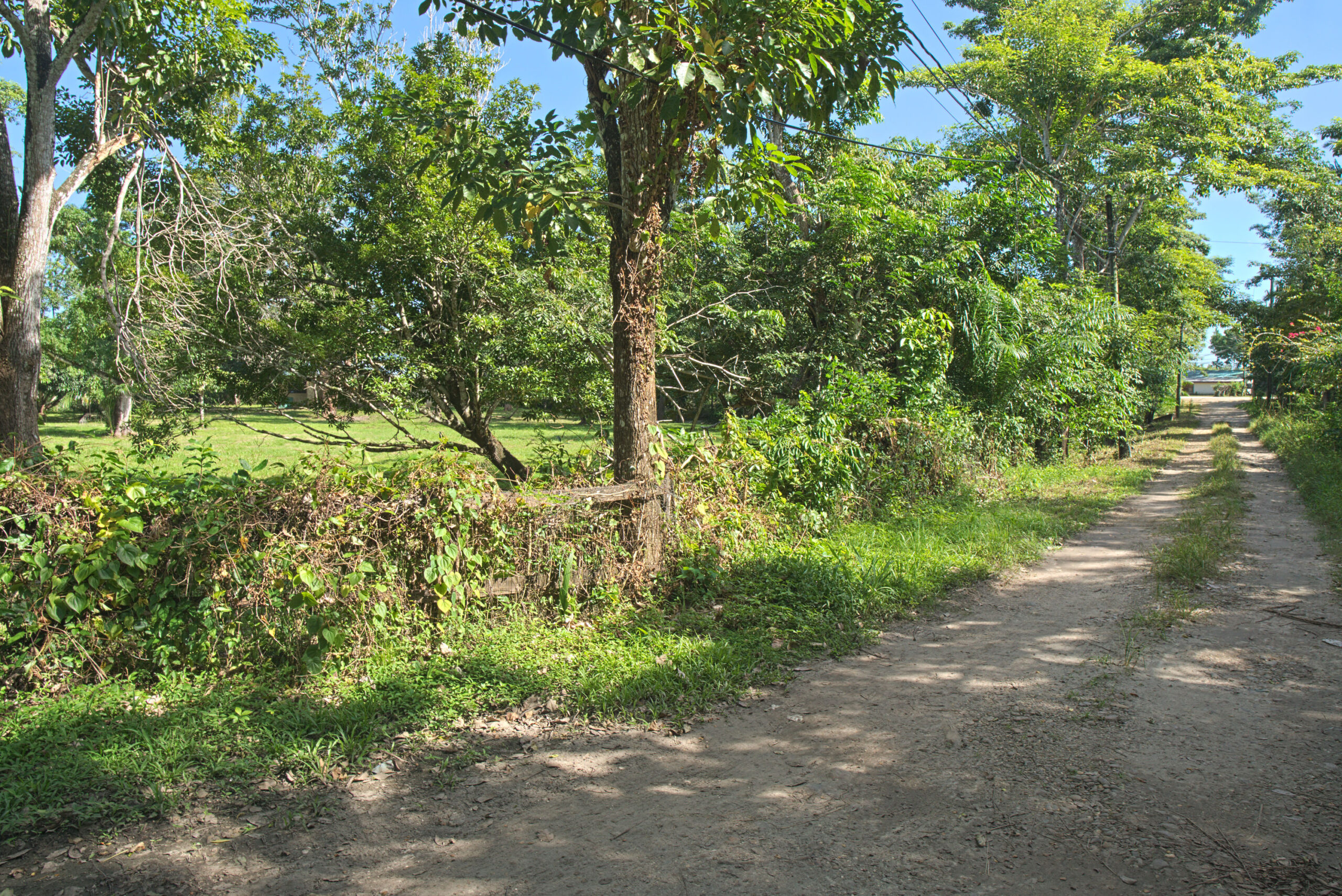 Listing Gallery 2