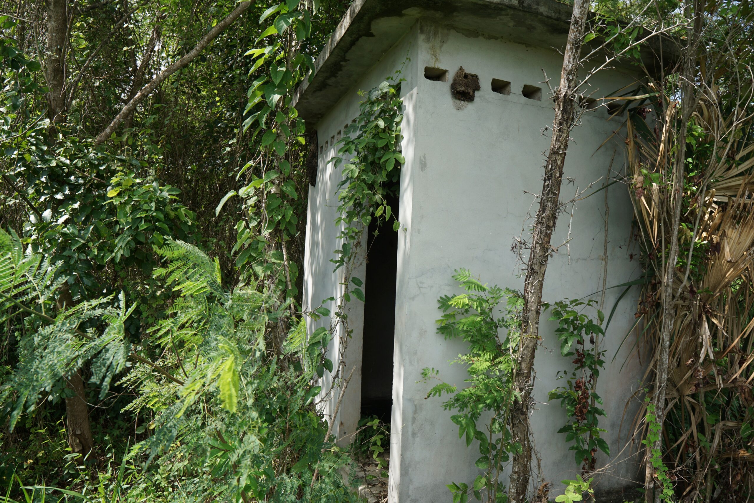 Listing Gallery 1