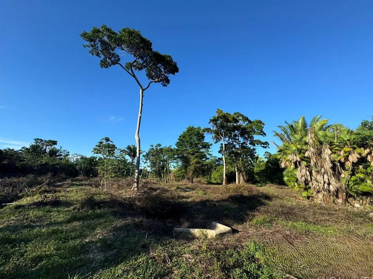 Listing Gallery 1