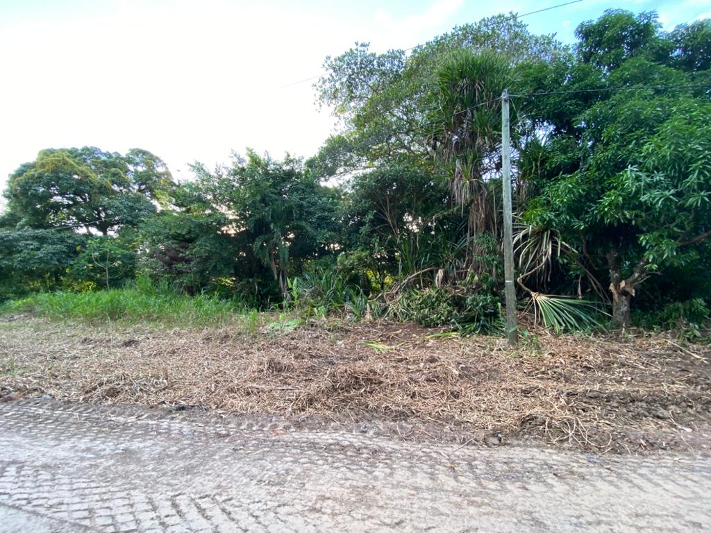 Listing Gallery 1