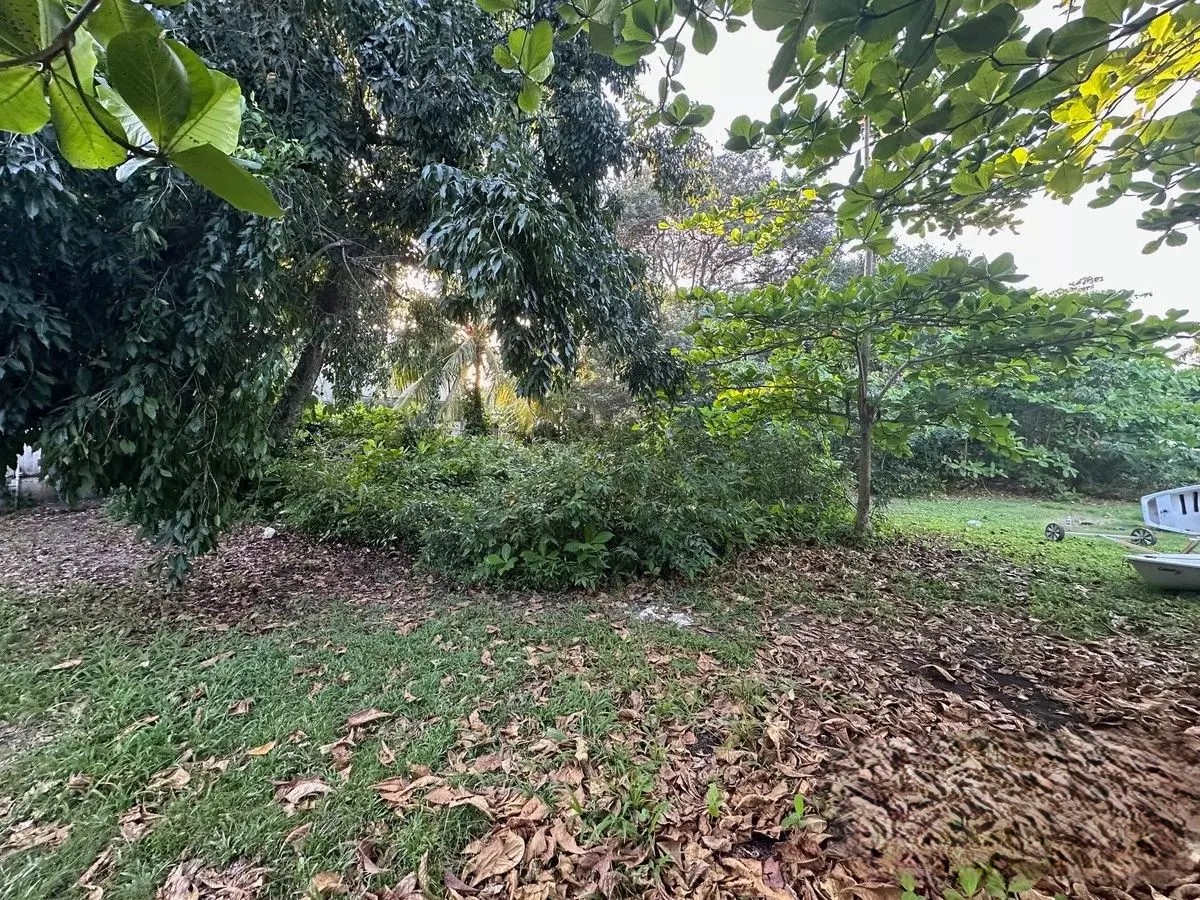 Listing Gallery 0