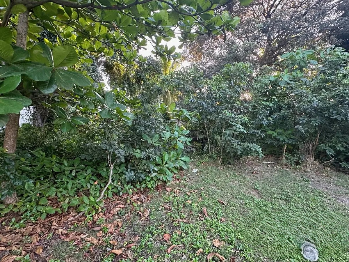 Listing Gallery 1