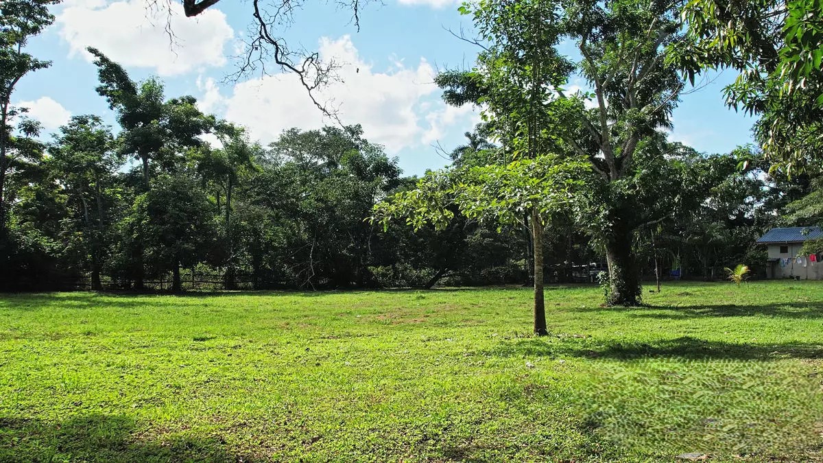 Listing Gallery 1