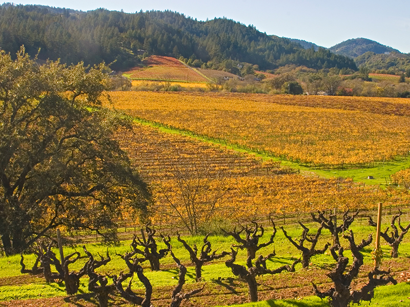 Healdsburg