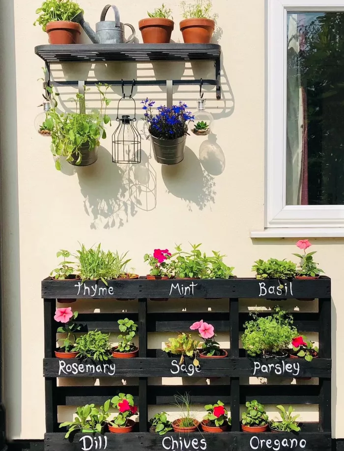 allie wilson home garden center