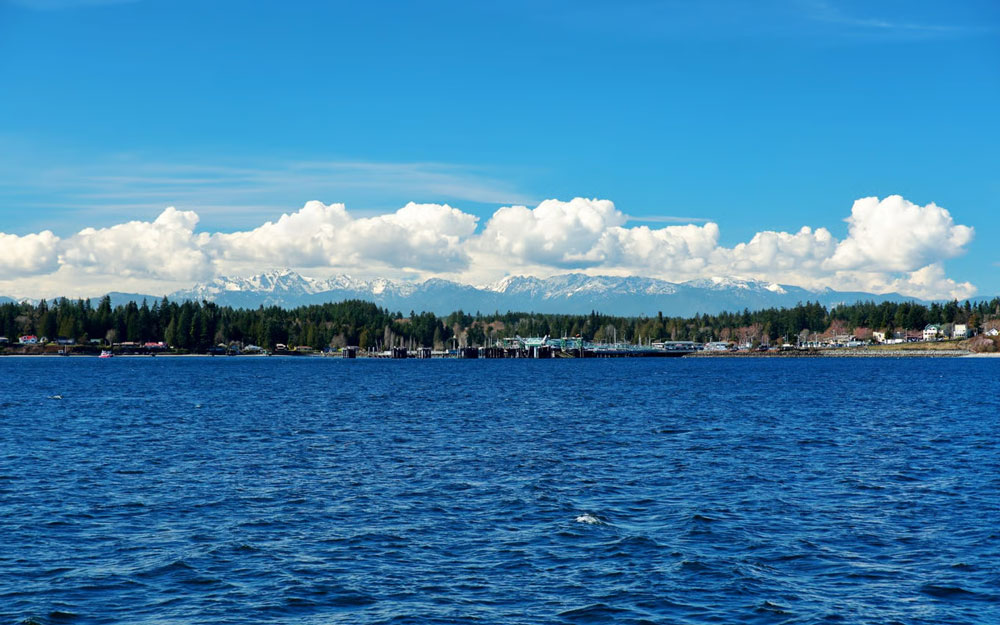 kingston