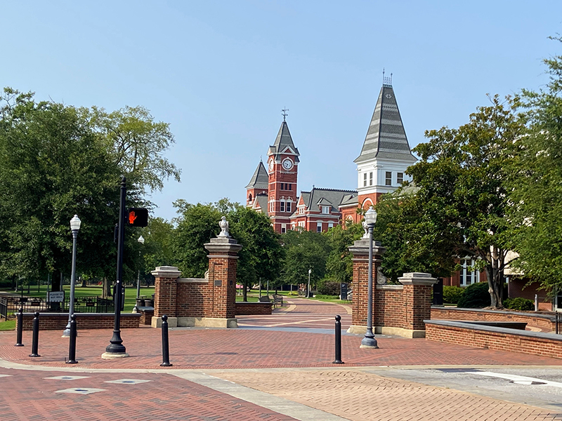 Auburn