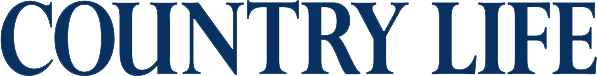 Partners Logo