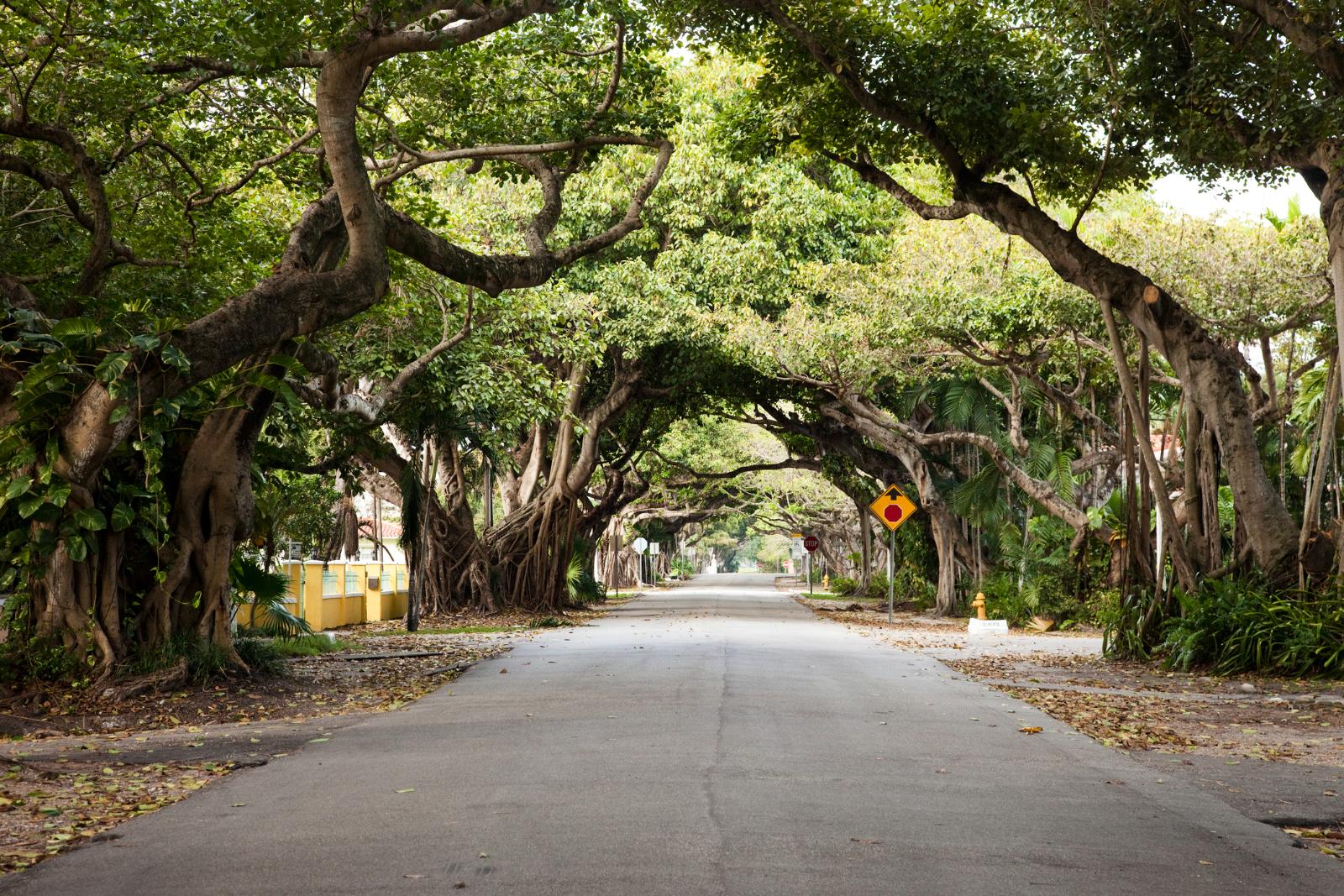 Expert tips for buying a historic home in Coral Gables 2
