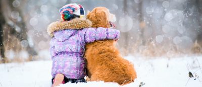 Winter Pet Safety