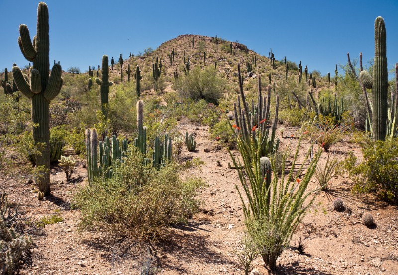 Camelback Mountain