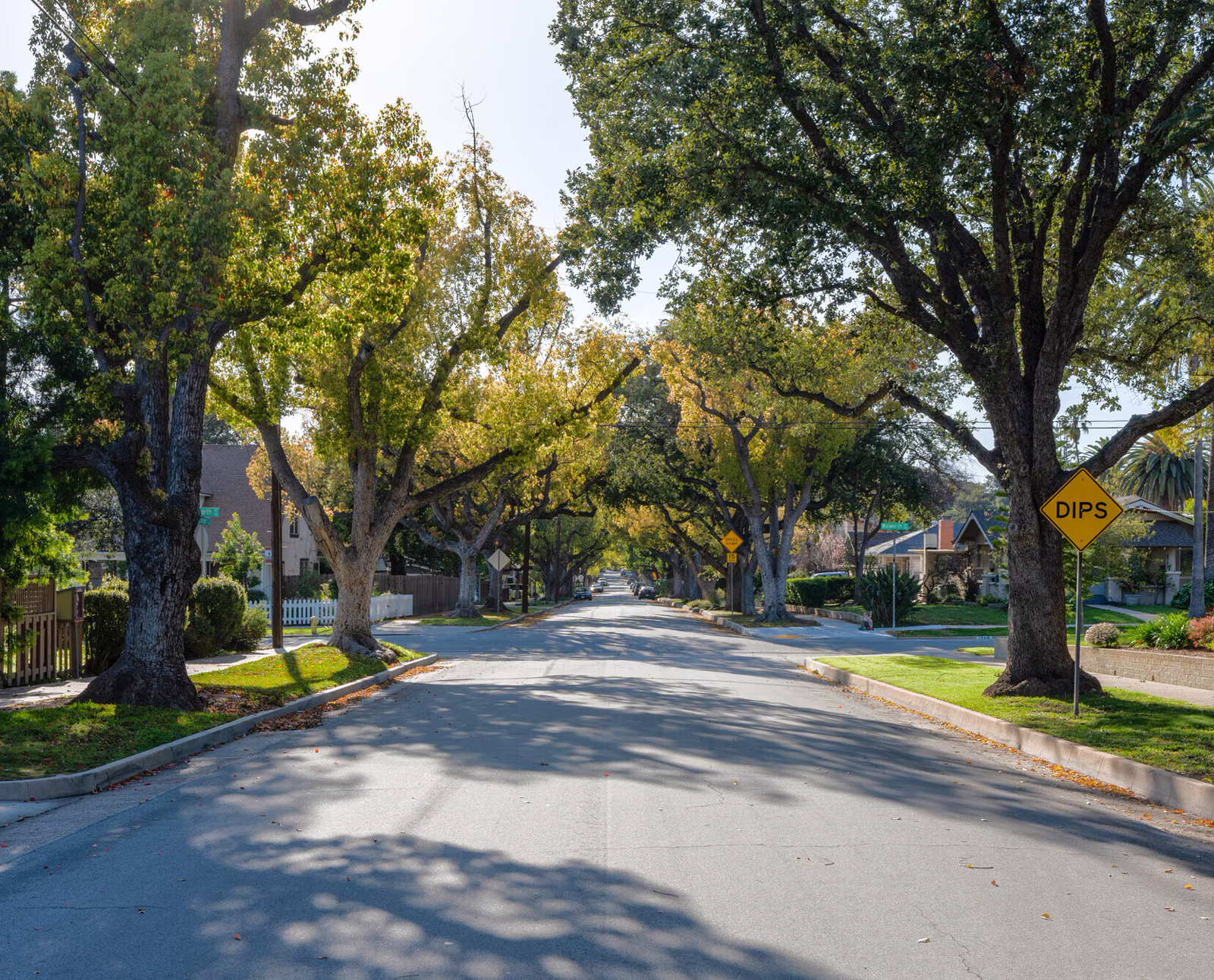 Altadena Photo