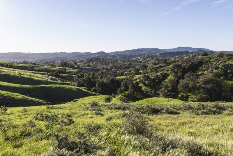 Woodland Hills