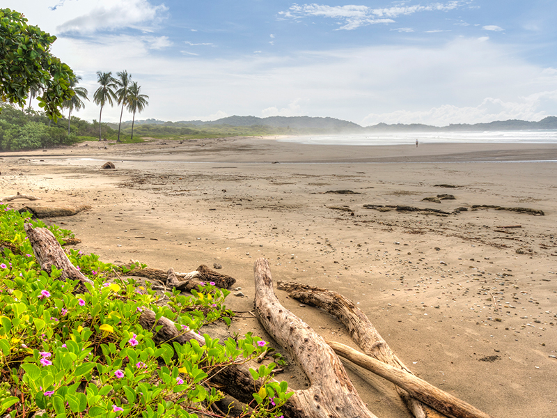Living in Harmony - How Nosara Preserves its Beaches