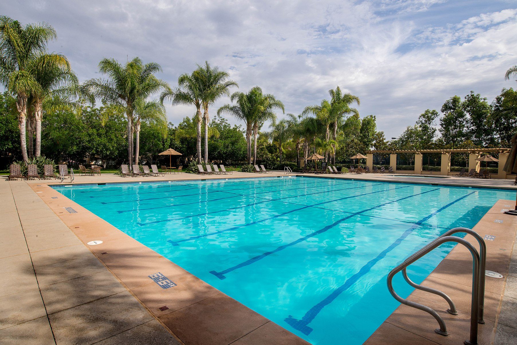 Oak Creek community lap pool in Irvine, California, lined with palm trees and lounge chairs