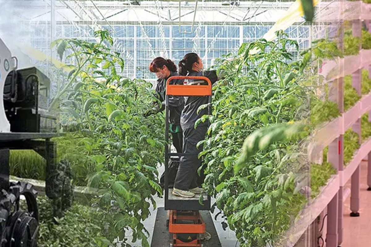 China’s Move to Take a Bite Out of Hunger