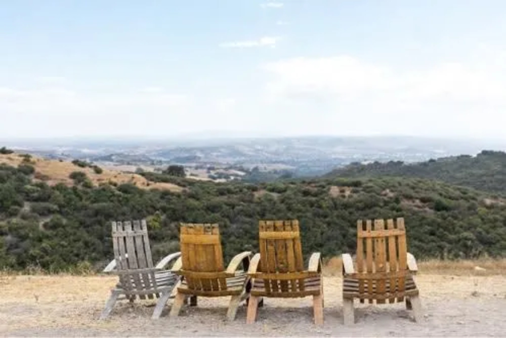 Calcareous Vineyard