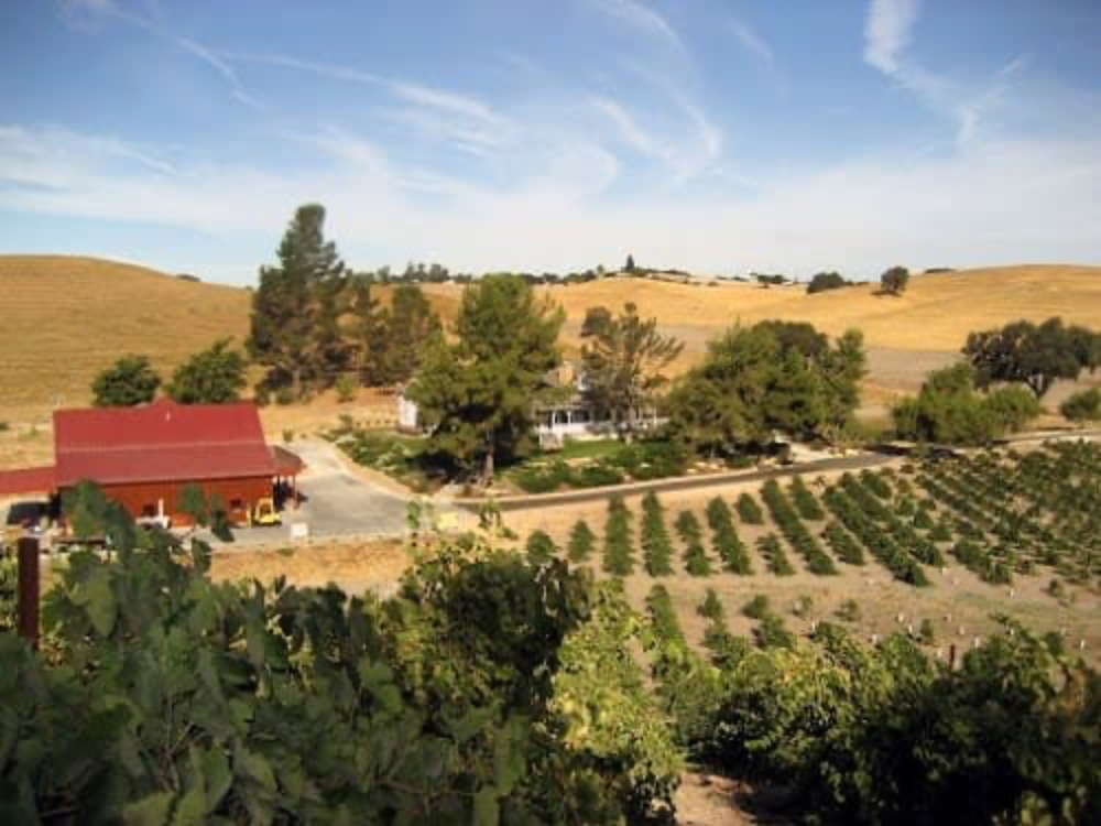 Venteux Vineyards