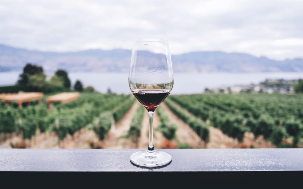 The Best Wineries on the Central Coast