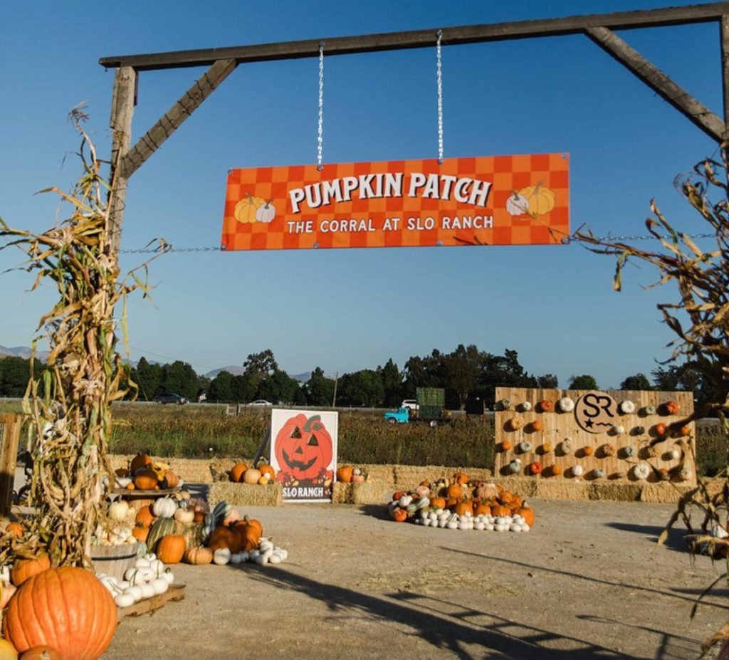 weekend-with-the-webers/