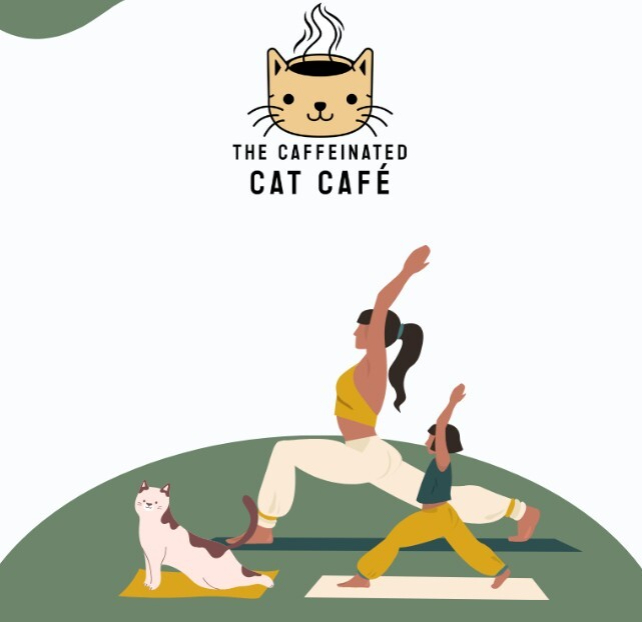 Cat Cafe