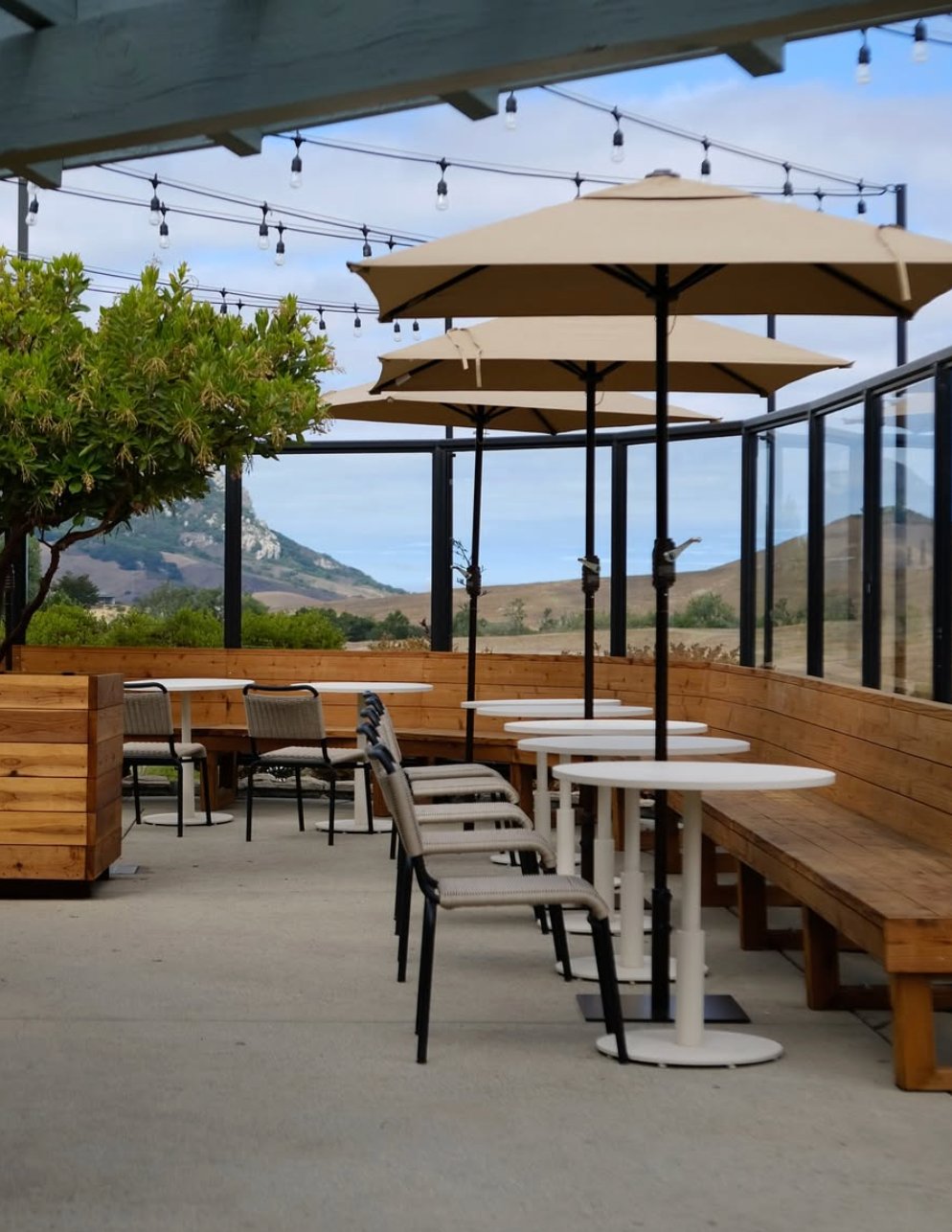 Into the Weekend with the Webers 