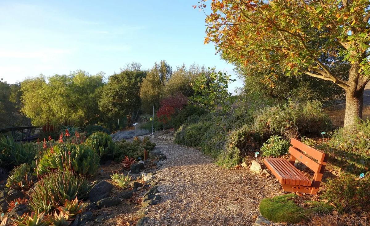 Into the Weekend with the Webers 