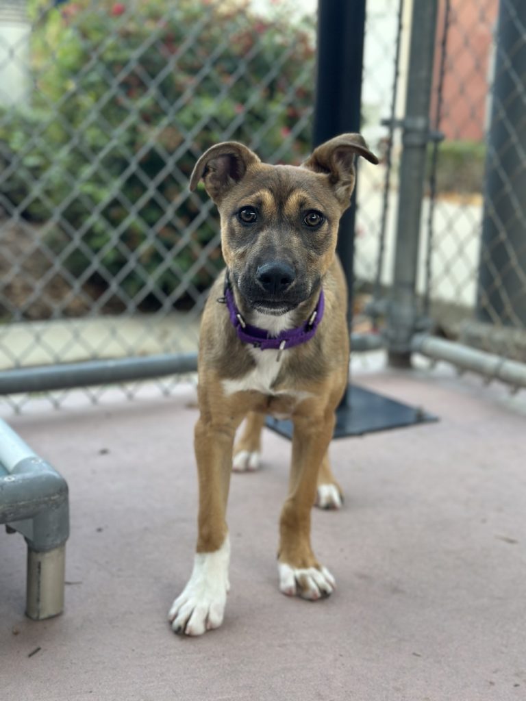 Into the Weekend with the Webers