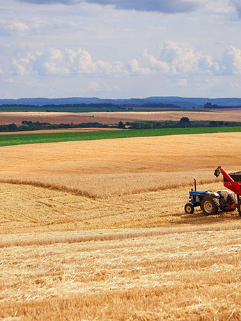 Snapshot - <span>Agricultural</span> <span></span>