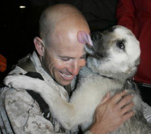 0327nubs1__55265_zoom-300x266