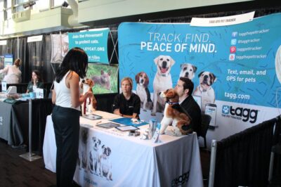 IMG_6218_zpsc08c1b7f