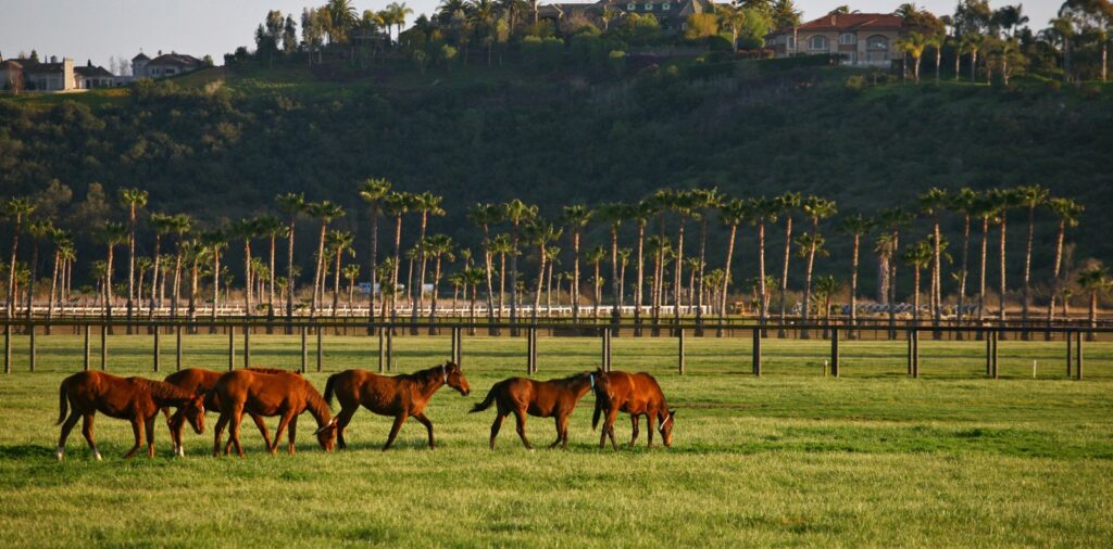 Jenny-Craig-Home-Rancho-Santa-Fe