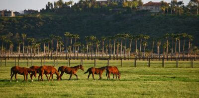 Jenny-Craig-Home-Rancho-Santa-Fe