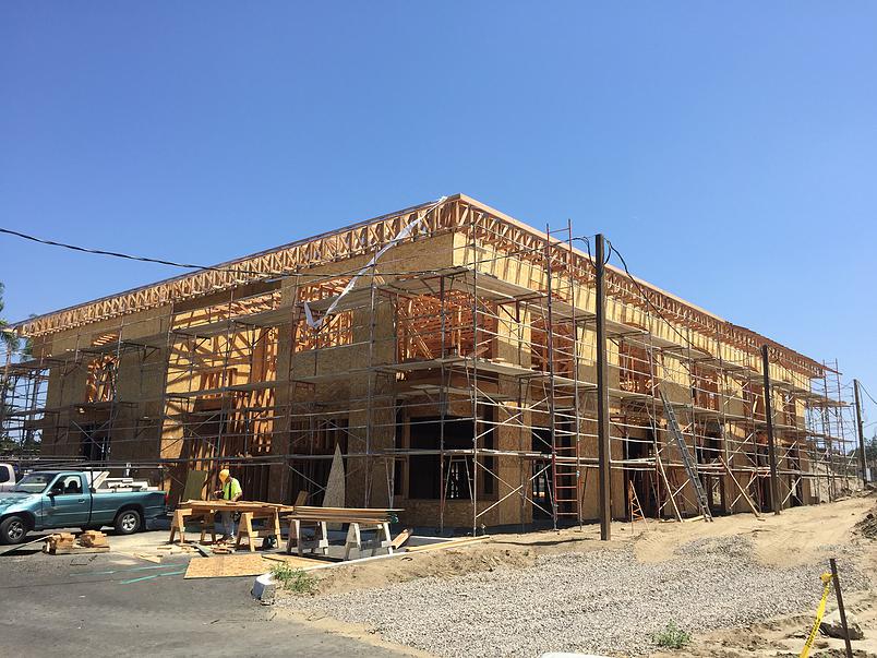 Palma-de-la-Reina-Rancho-Santa-Fe