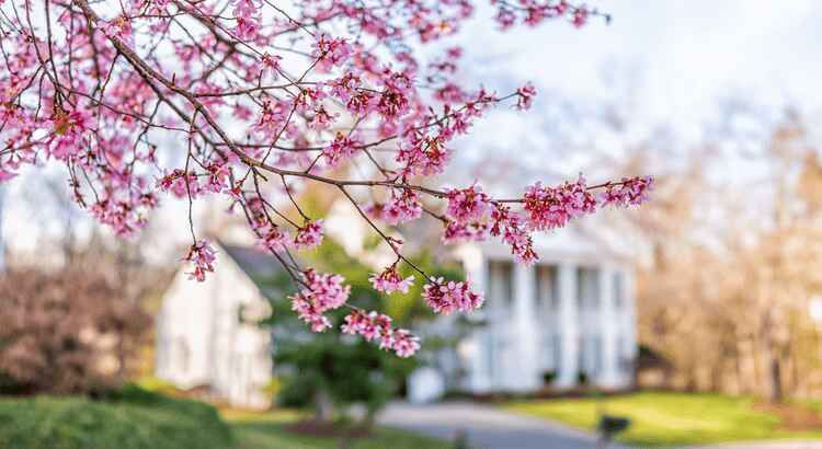 4 Ways To Make an Offer That Stands Out This Spring 1
