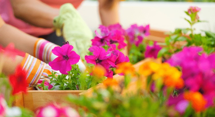 4 Things To Expect from the Spring Housing Market (1)