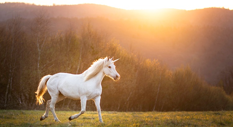 Today’s Real Estate Market The ‘Unicorns’ Have Galloped Off (1)