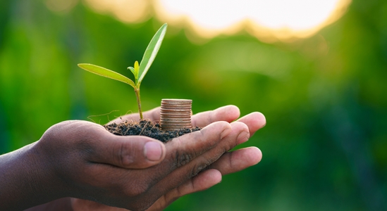 Saving for a Down Payment Here’s What You Should Know