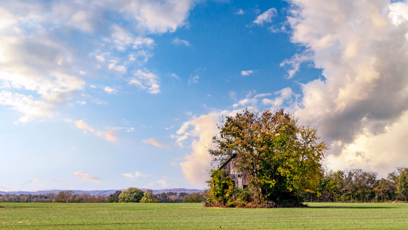 Available homes in Fraser Valley