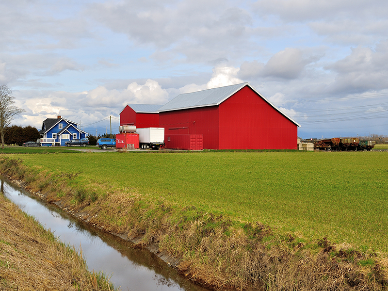 red house