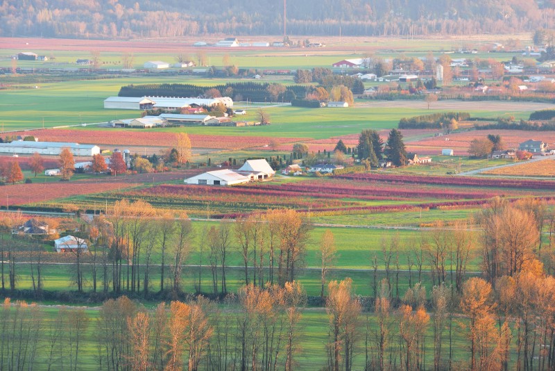 Fraser Valley
