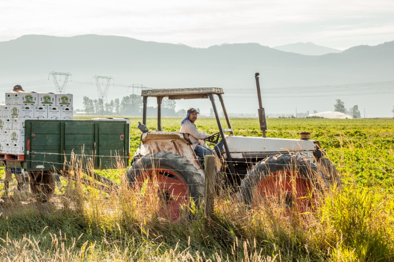Tractor